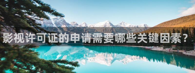 水蜜桃电影在线播放：影视许可证的申请需要哪些关键因素？